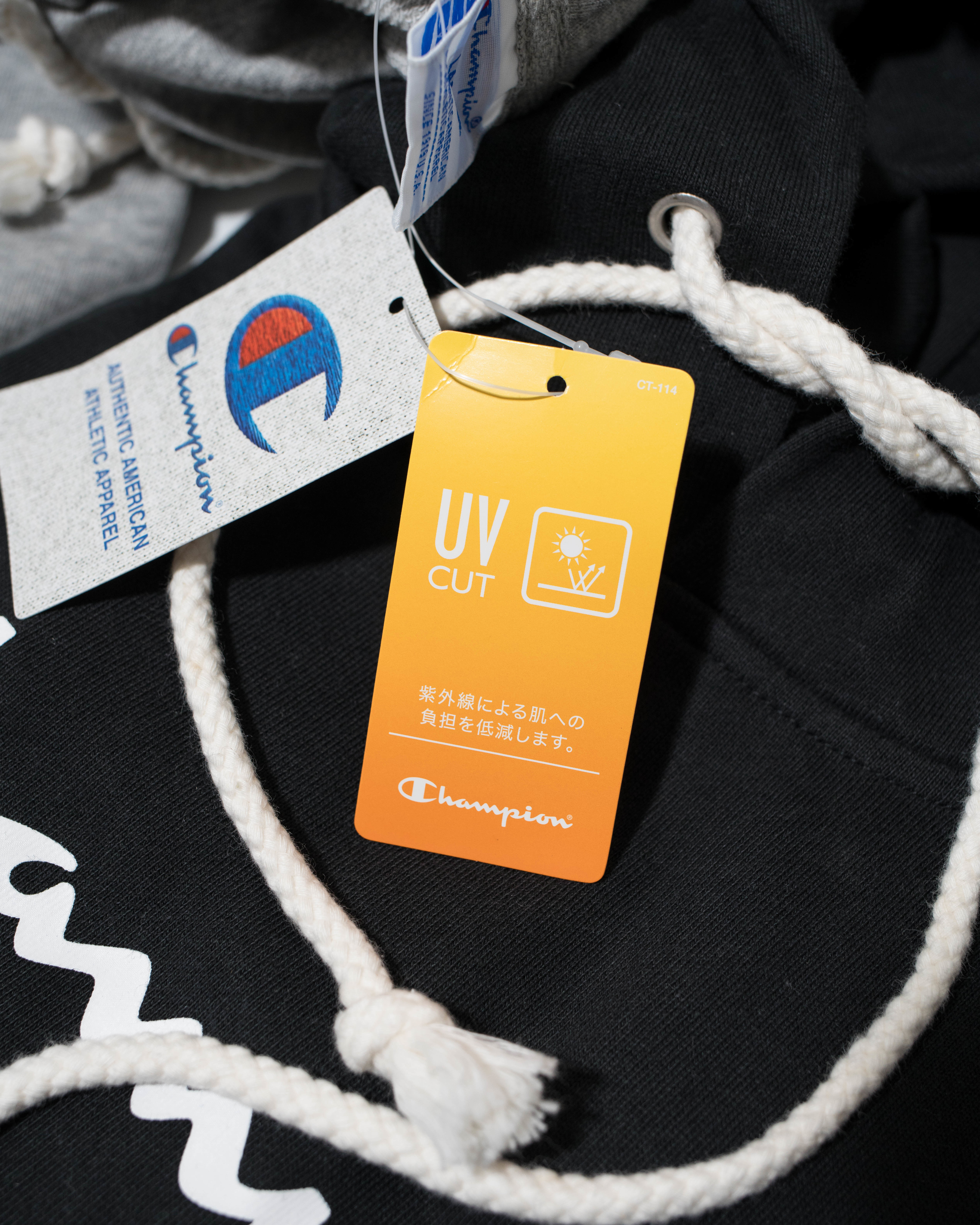 [現貨] CHAMPION CWK111 Script Hoodie (JAPAN)