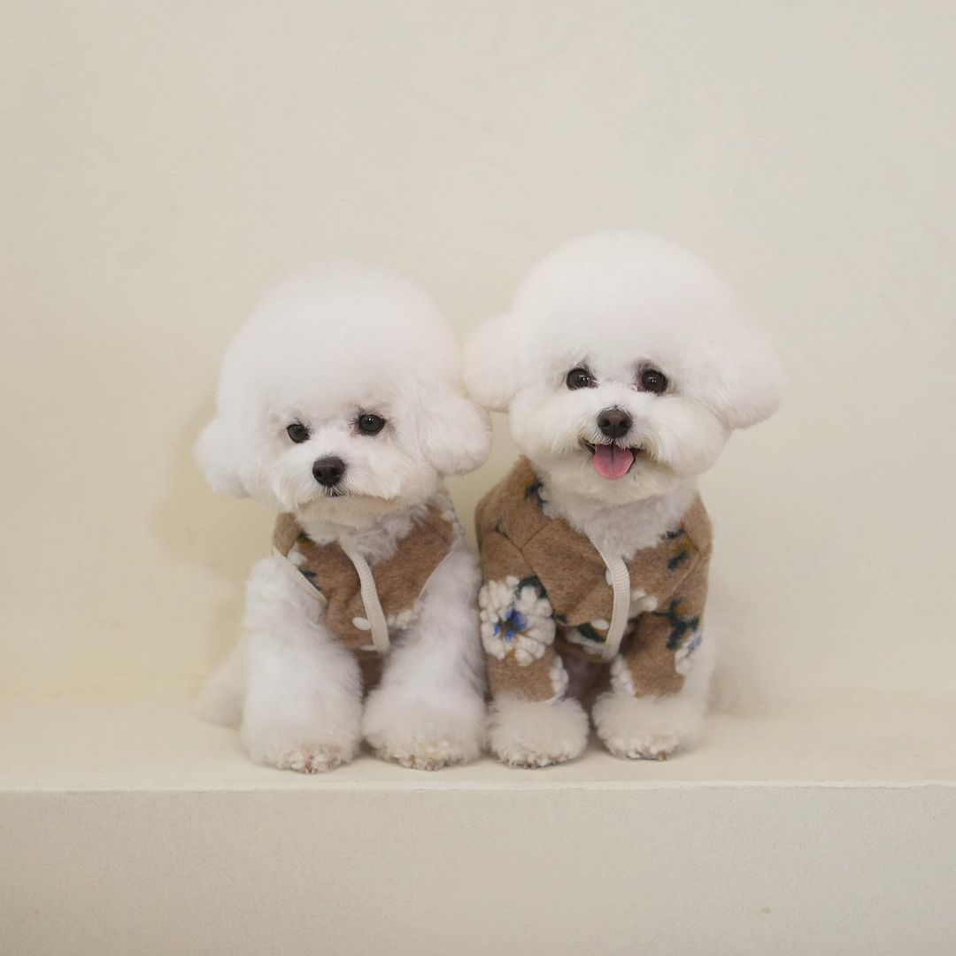 ❤️Near by Us❤️羊毛花兒背心/外套