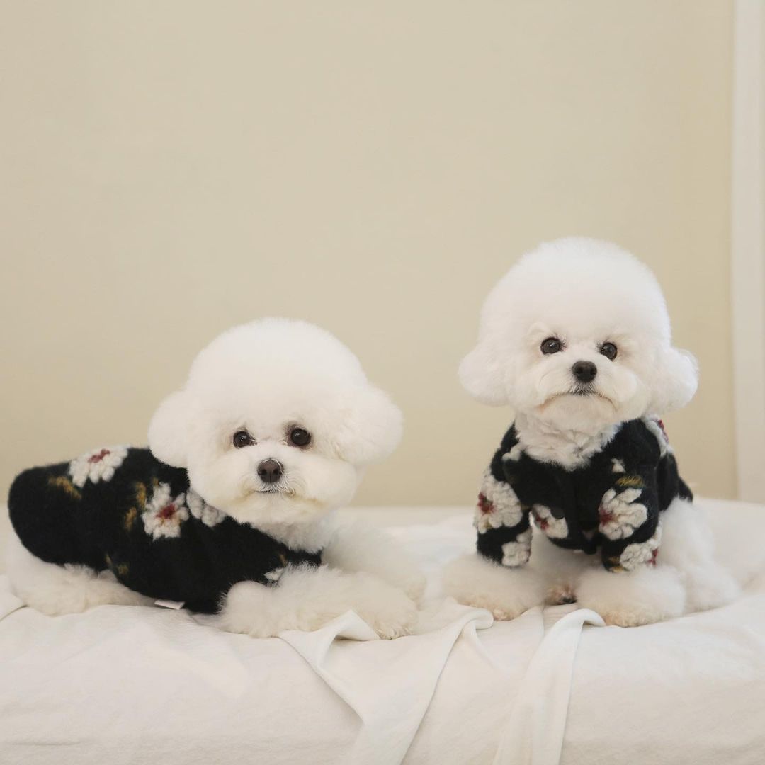 ❤️Near by Us❤️羊毛花兒背心/外套