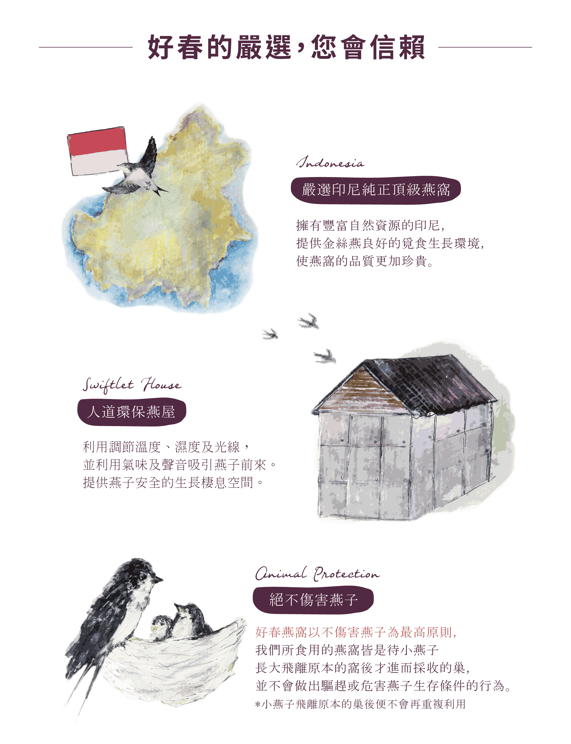 好春燕窩嚴選印尼純正頂級燕窩，自然資源豐富的印尼提供金絲燕良好的覓食生長環境，使燕窩的品質更加珍貴；好春燕窩以不傷害燕子為最高原則及堅持，除了提供您最純正的燕窩外也堅持共同保護金絲燕。