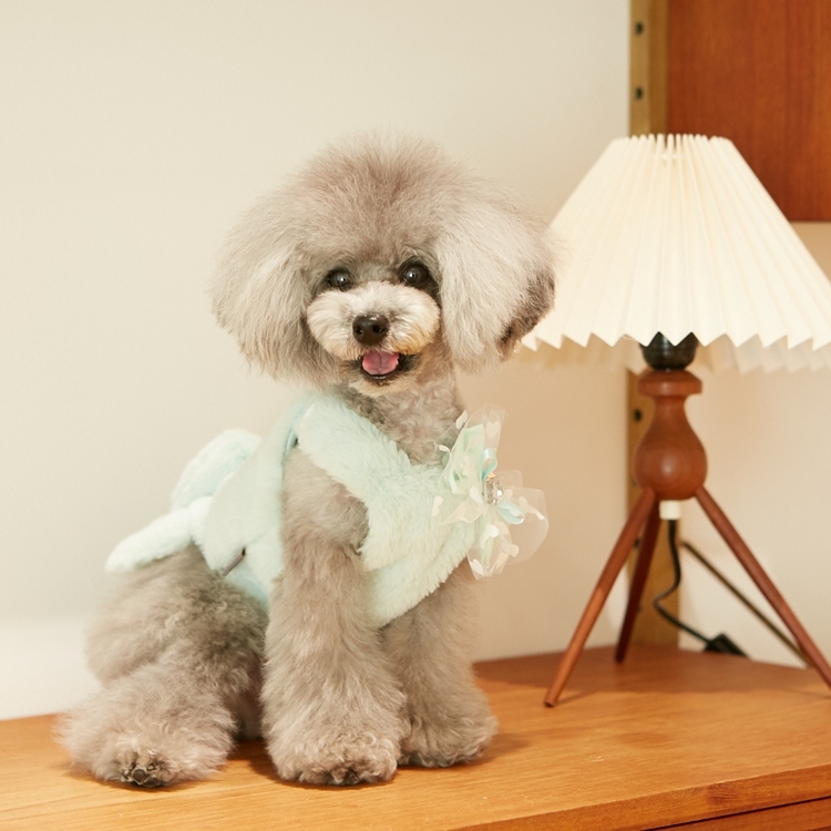 iLoiLo 毛毛蝴蝶結洋裝 （薄荷）