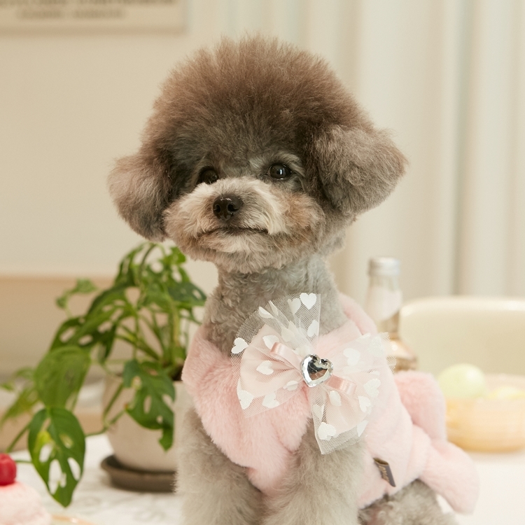 iLoiLo 毛毛蝴蝶結洋裝 （粉紅）