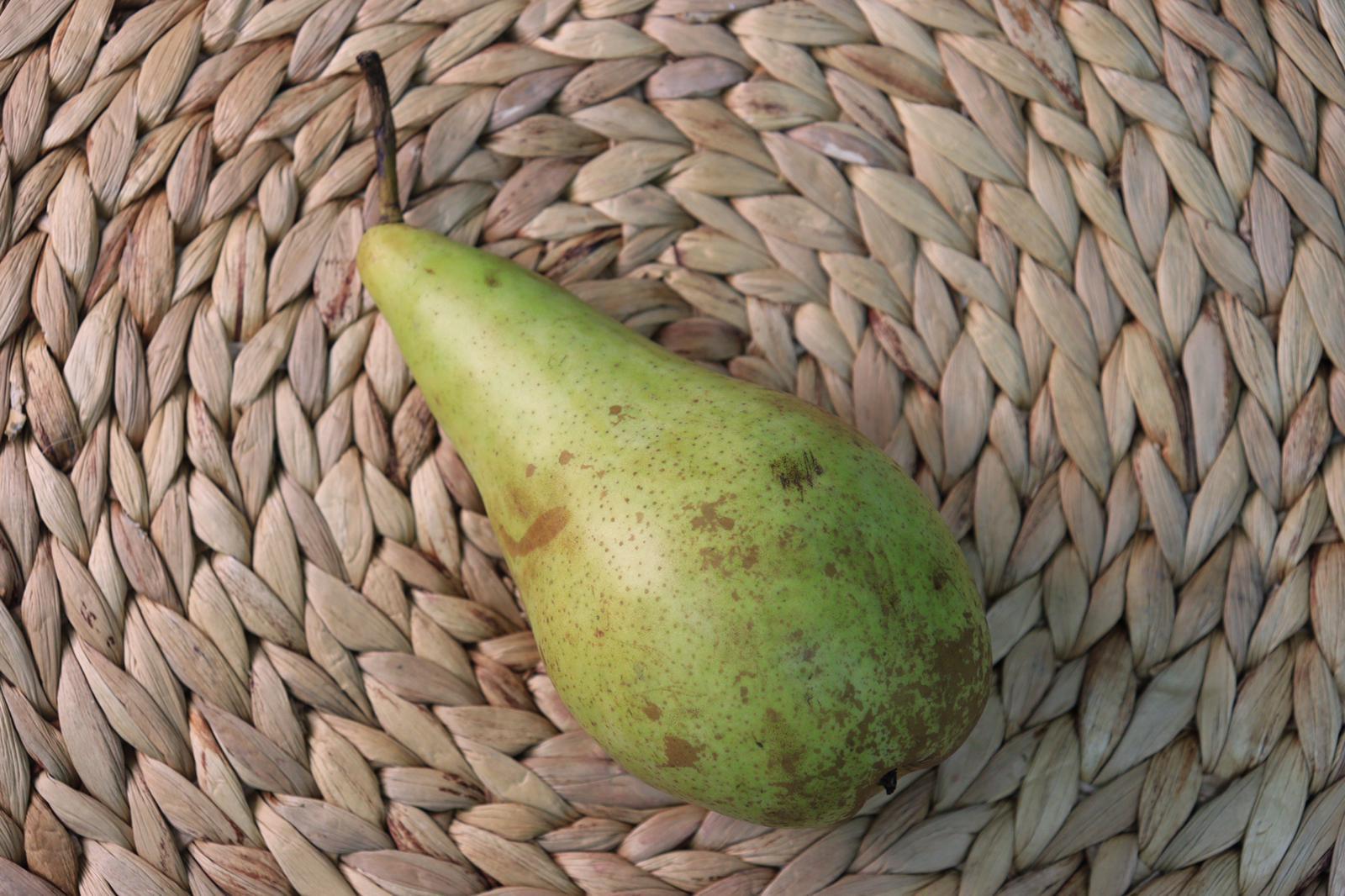 荷蘭/比利時長柄啤梨