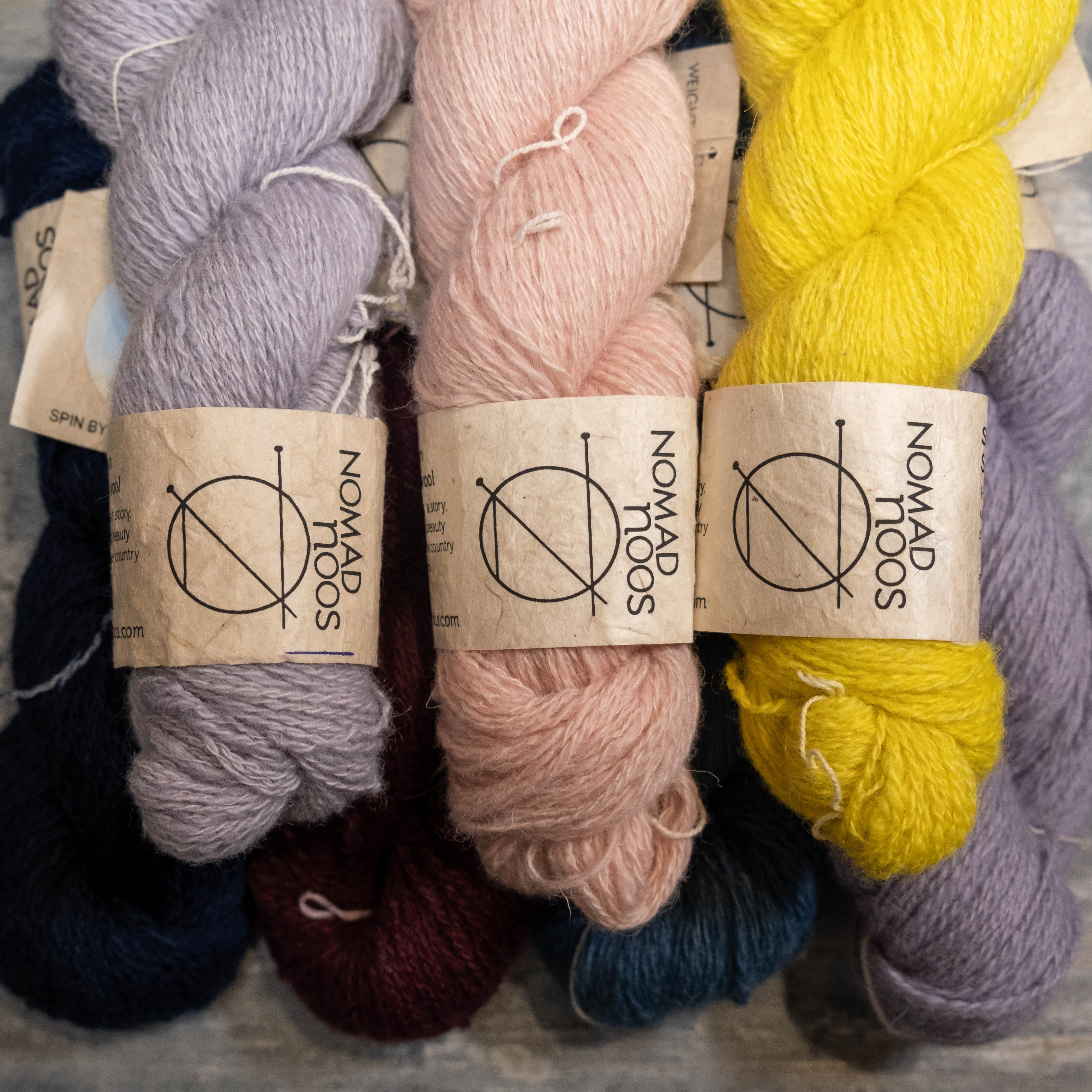 Sartuul Sheep - Nomadnoos