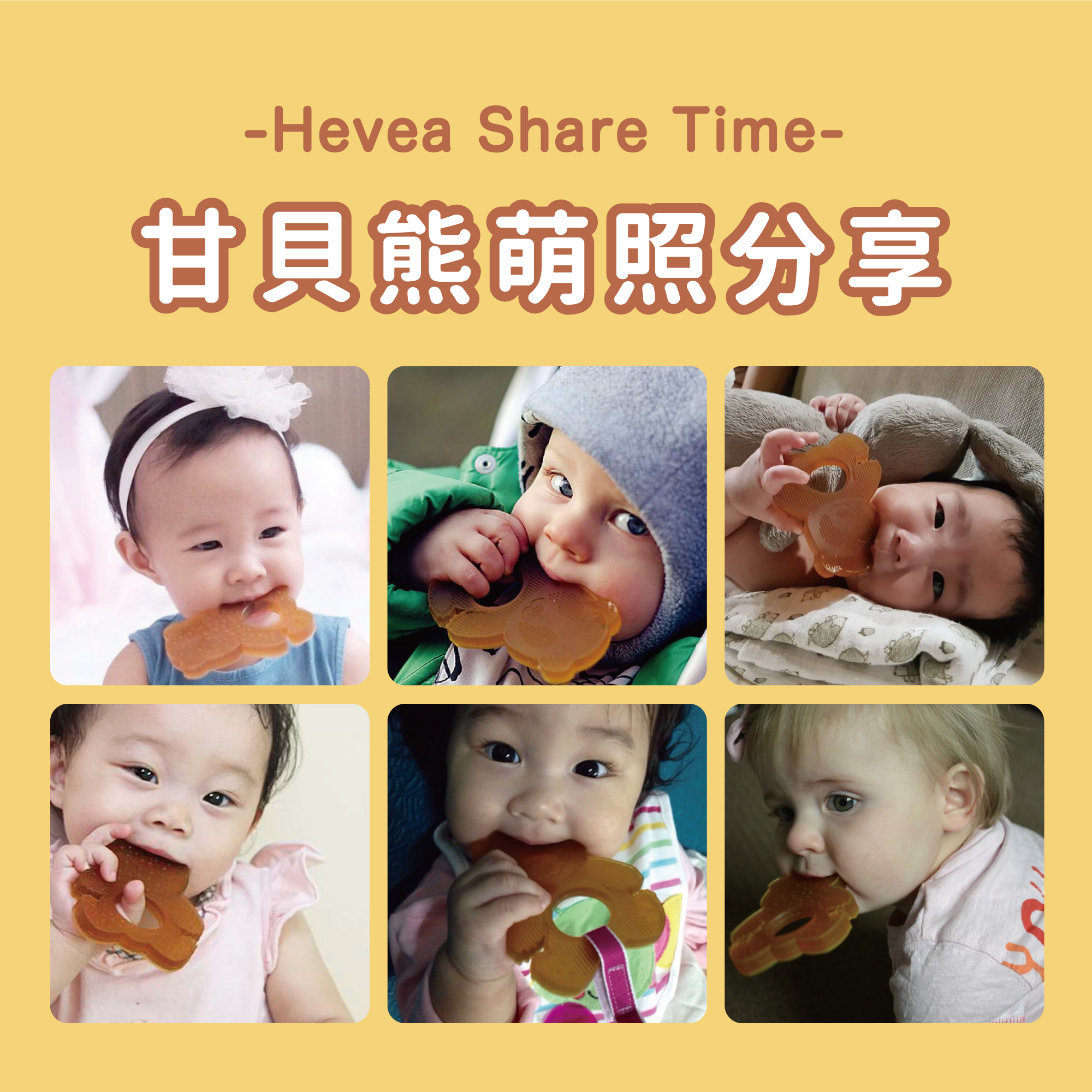 hevea-固齒器-甘貝熊