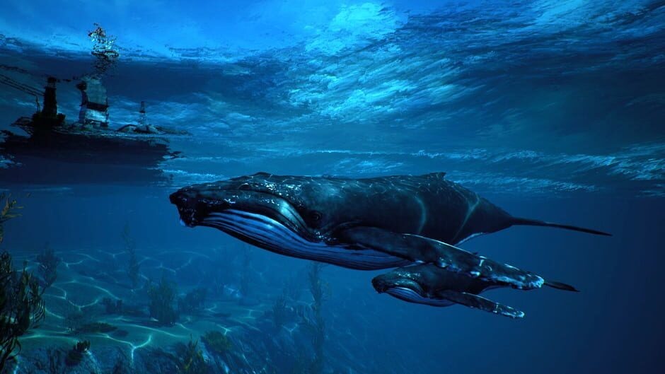 PS4 食人鯊 Maneater 中文版