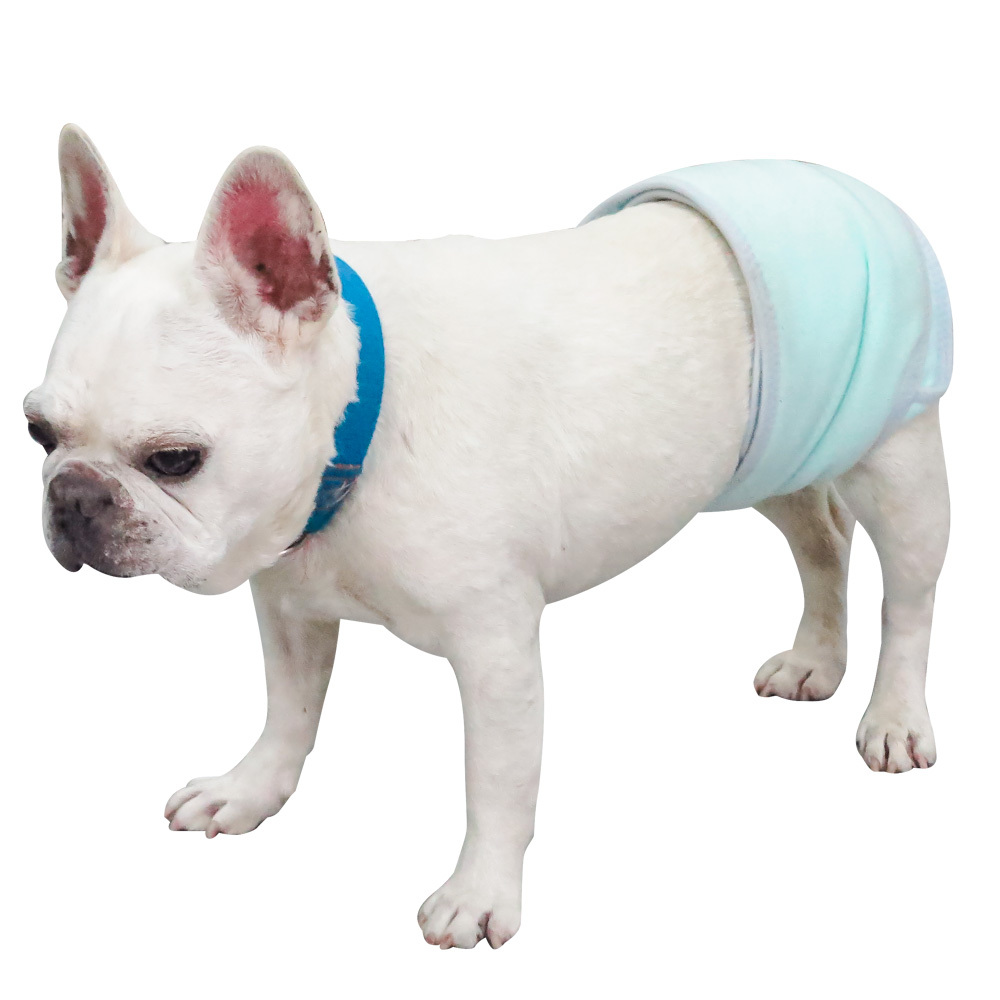 禮貌帶(公狗用)售出不退