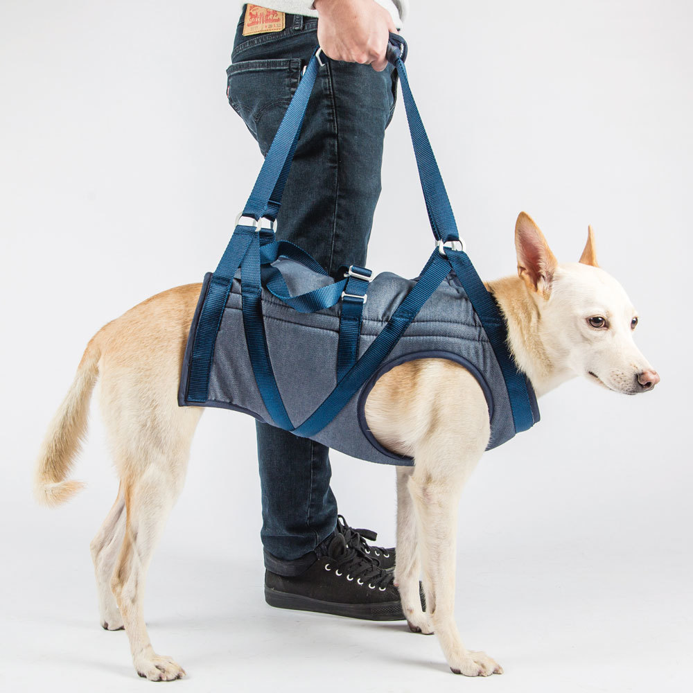 老狗步行輔助提帶(前or後肢無力)【衛生商品售出不退換】