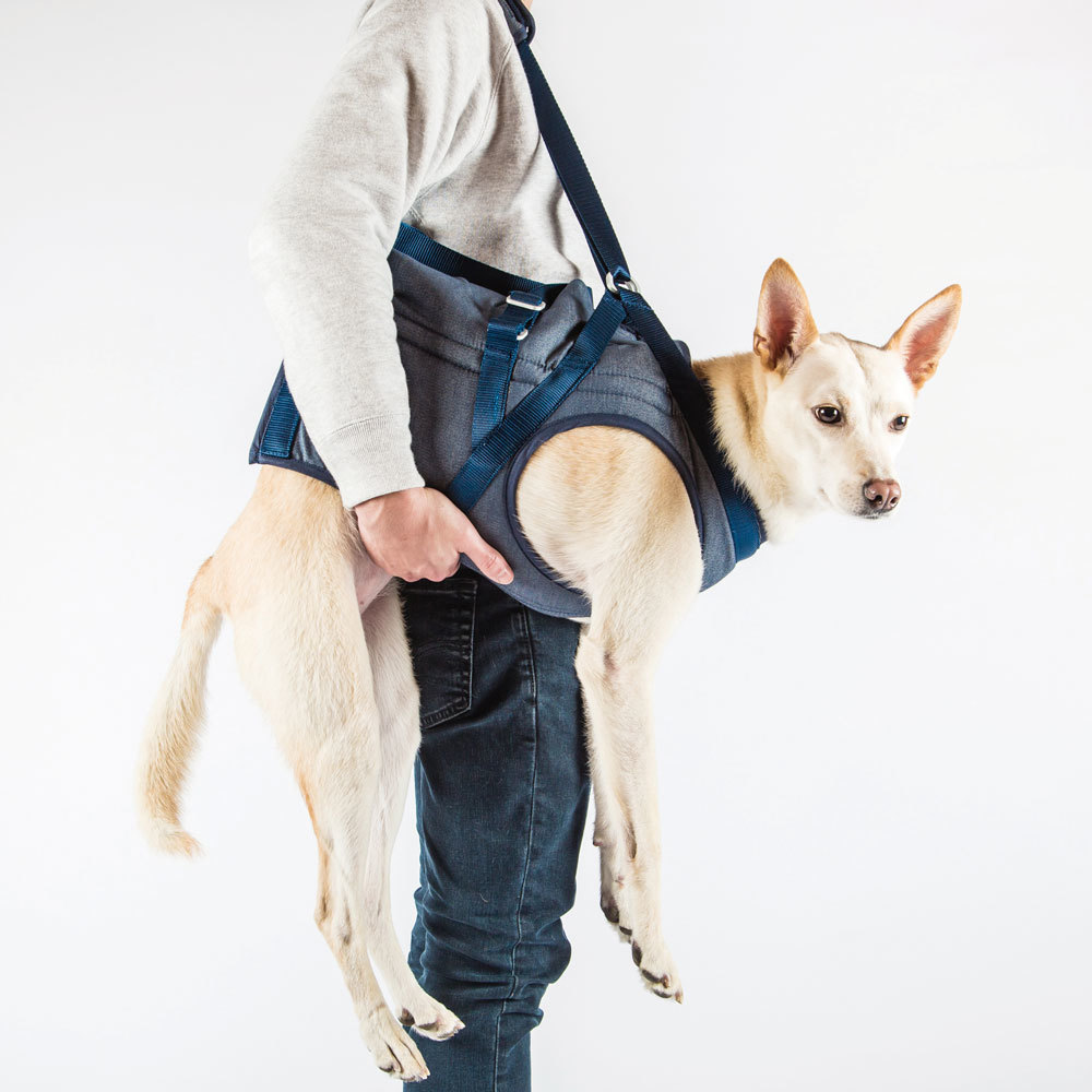 老狗步行輔助提帶(前or後肢無力)【衛生商品售出不退換】