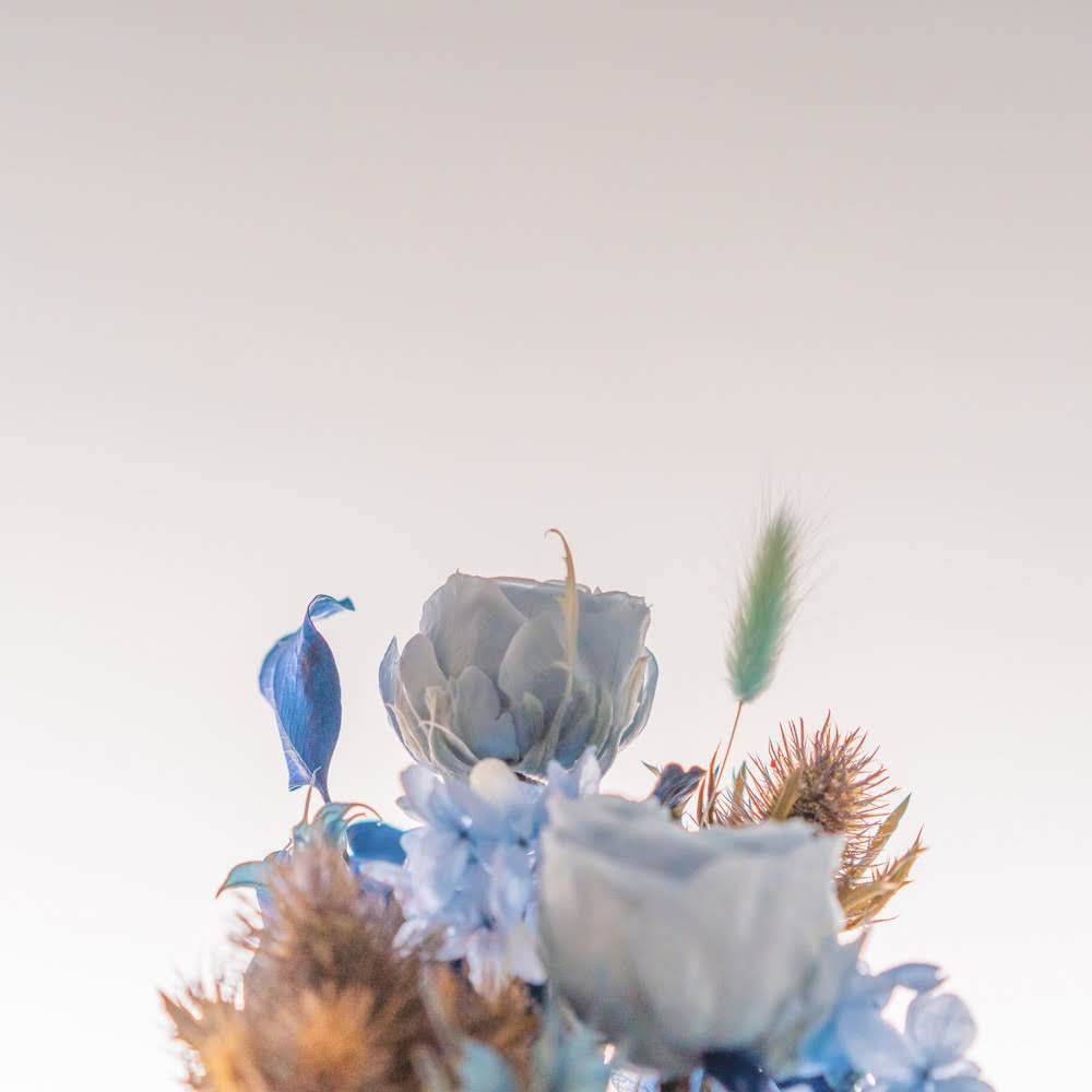 永生鐘罩花系列(大)｜藍玫瑰