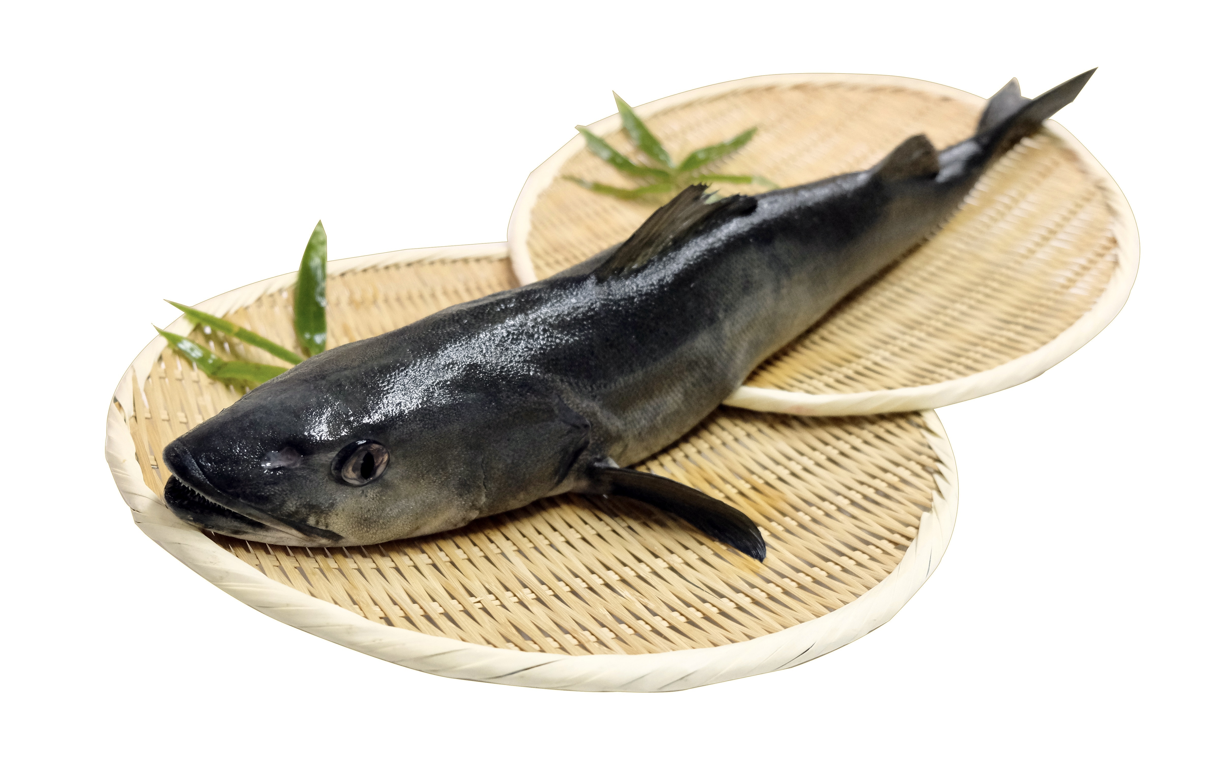 德華水産 ギンダラ銀鱈魚 1 5 2 5kg 條