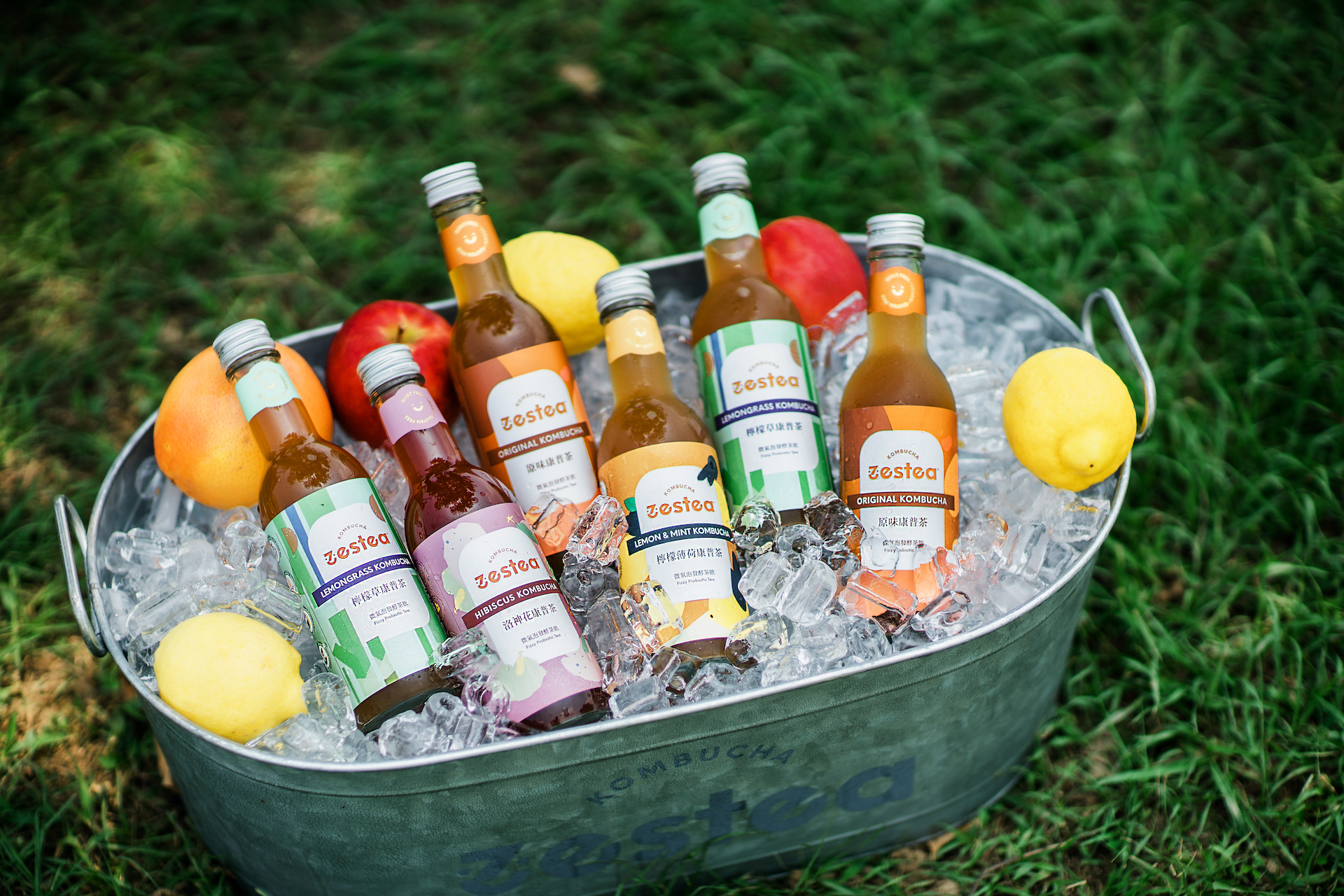 ZESTEA HIBISCUS KOMBUCHA