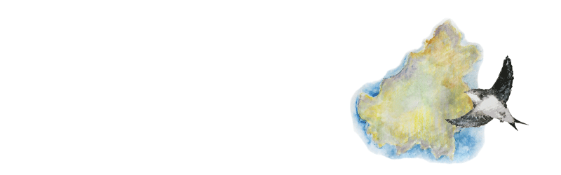 帶您瞭解好春燕窩從嚴選產地到您食用的燕窩，  是如何用心製成的！