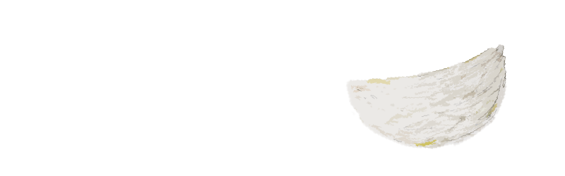 燕窩是非常良好的天然補品，  對不同的族群有什麼價值與好處呢？