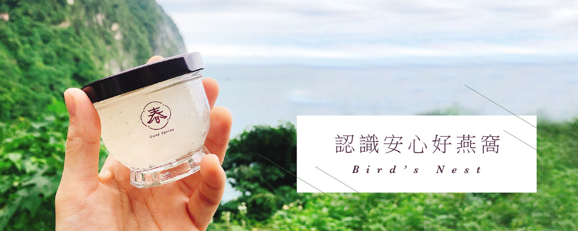 認識安心好燕窩，鮮燉燕窩的專家，好春燕窩