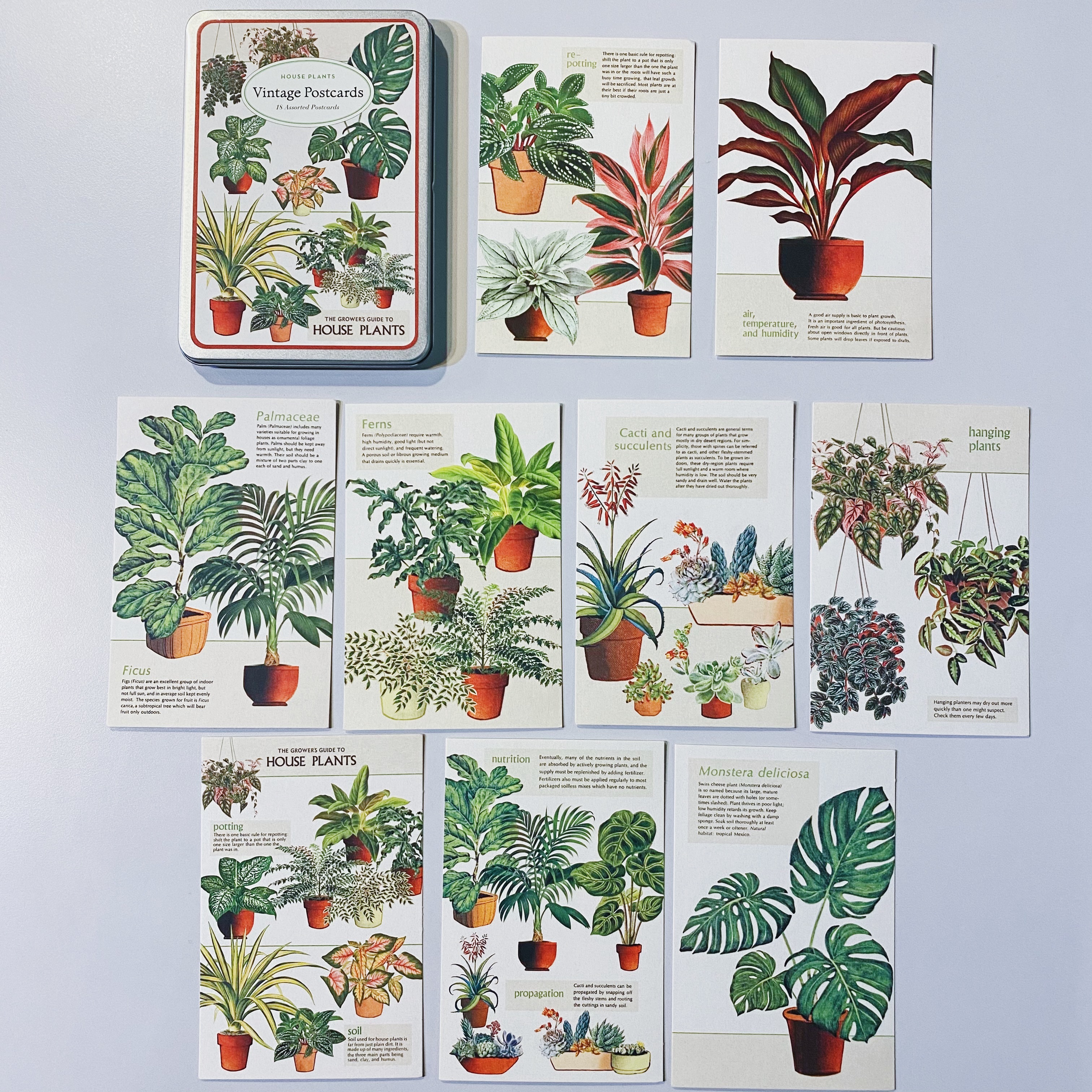室內植物House Plants 復古錫盒明信片18 入組｜ 美國 Cavallini & Co.