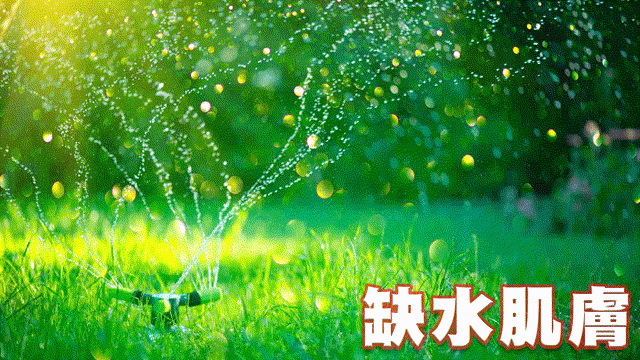 美·神靡 Goddess15頂級胎盤素極光美面膜_缺水肌膚