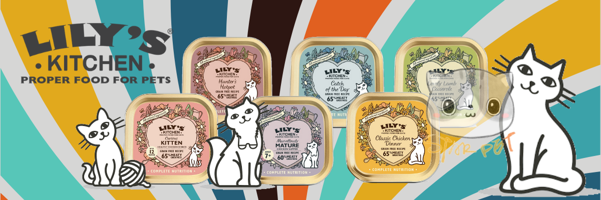 lily's kitchen,貓濕糧推薦,貓濕糧,莉莉廚房,cat can,貓咪,寵物用品,貓糧,貓玩具,貓清潔,貓罐頭,貓零食,貓濕糧,乾糧,天然貓糧,脫水貓糧,貓小食,feline,cat,pet,pet shop,cat wet food