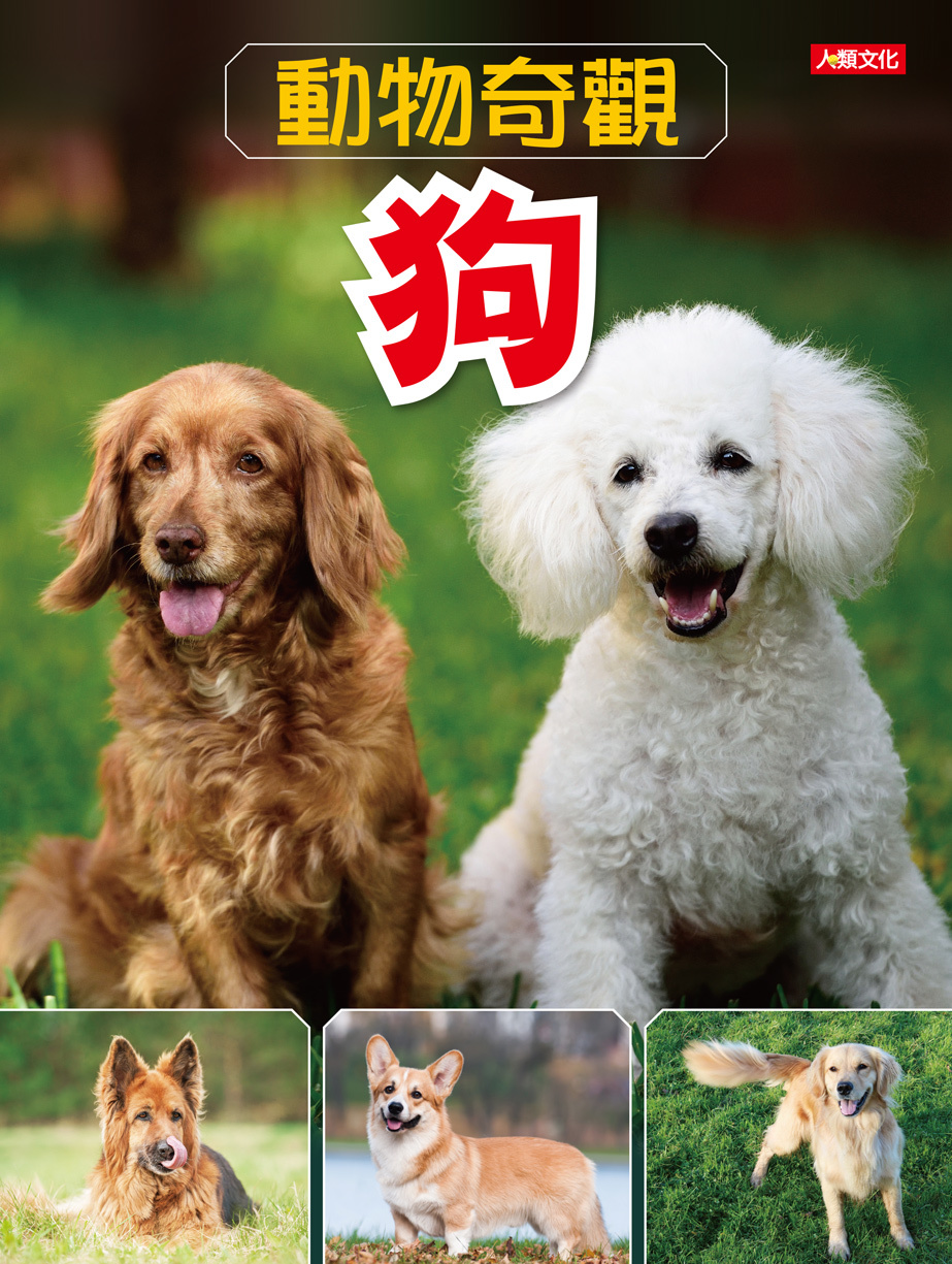 //福利品//動物奇觀：狗