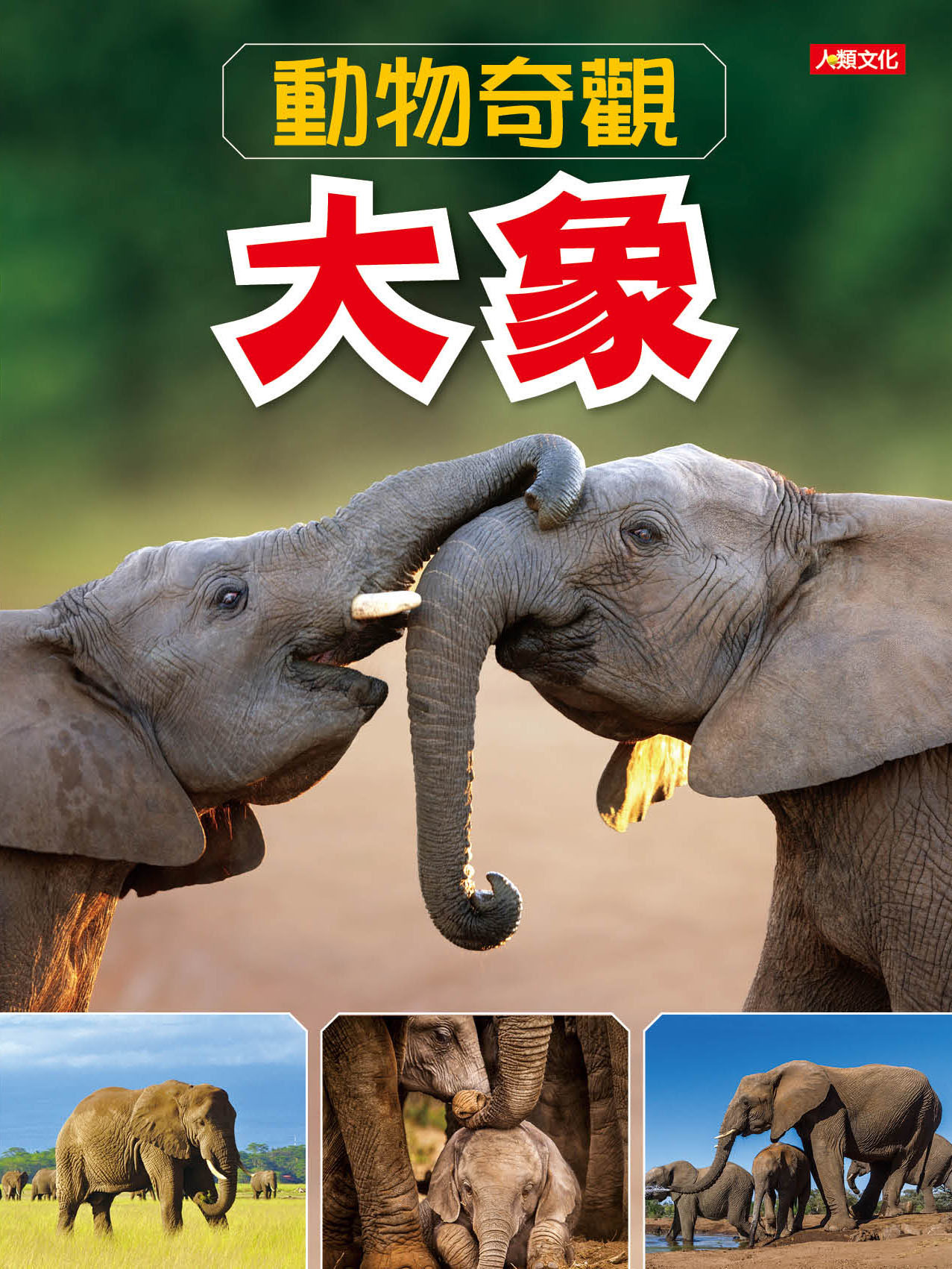 //福利品//動物奇觀：大象
