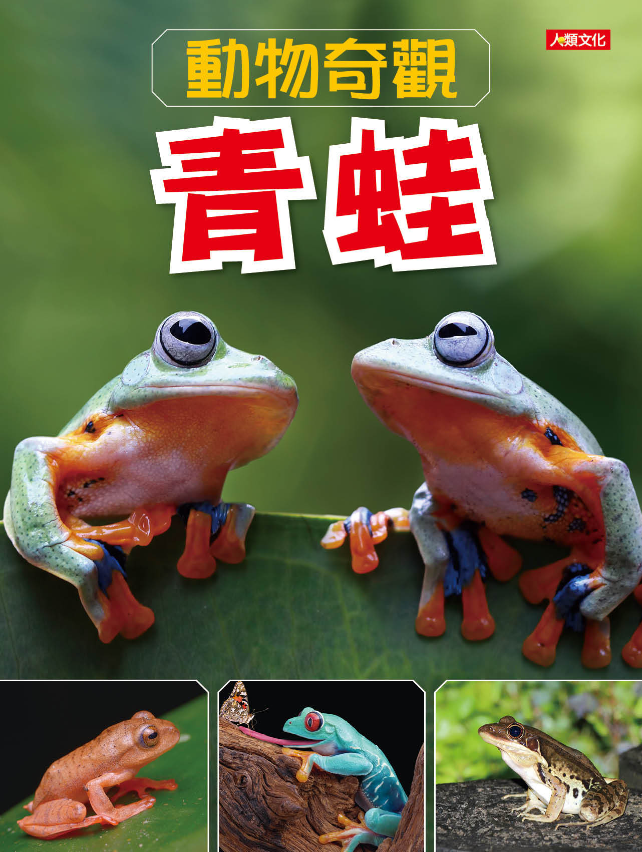 //福利品//動物奇觀：青蛙