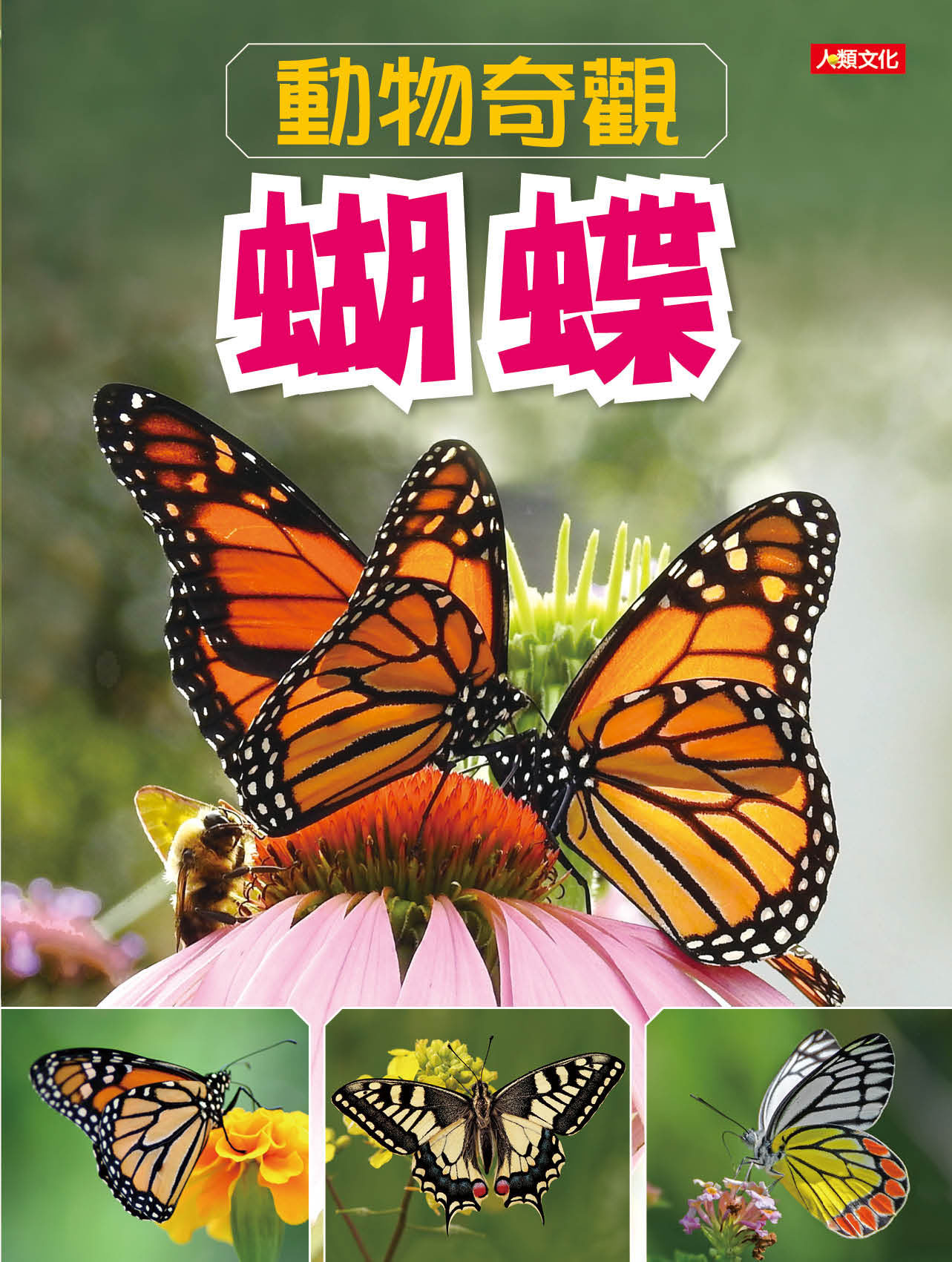 //福利品//動物奇觀：蝴蝶
