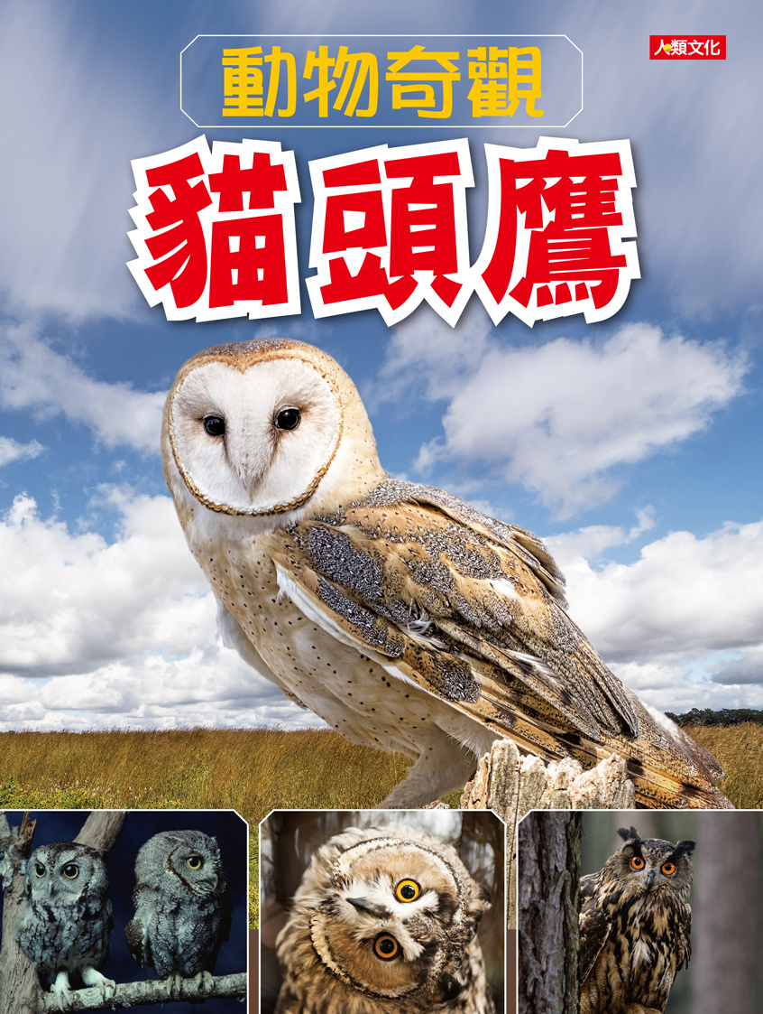 //福利品//動物奇觀：貓頭鷹