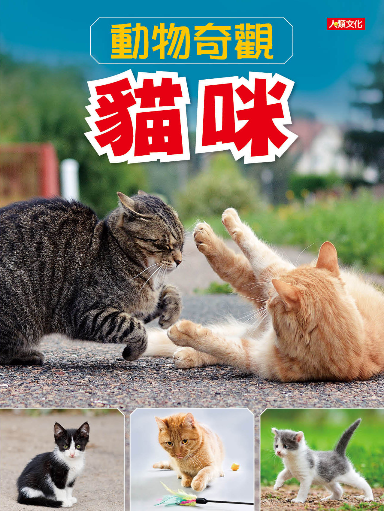 //福利品//動物奇觀：貓咪