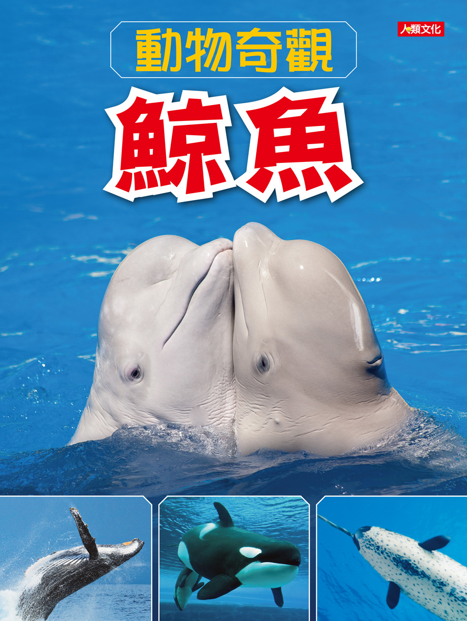 //福利品//動物奇觀：鯨魚
