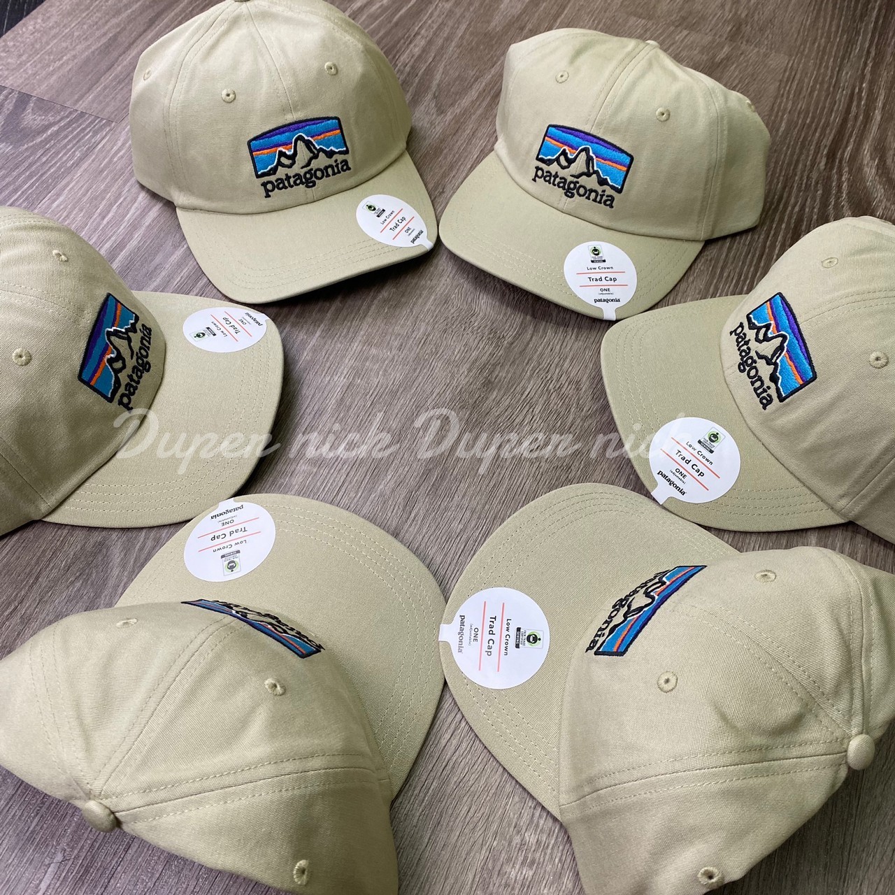 現貨 Patagonia 淺卡其 老帽