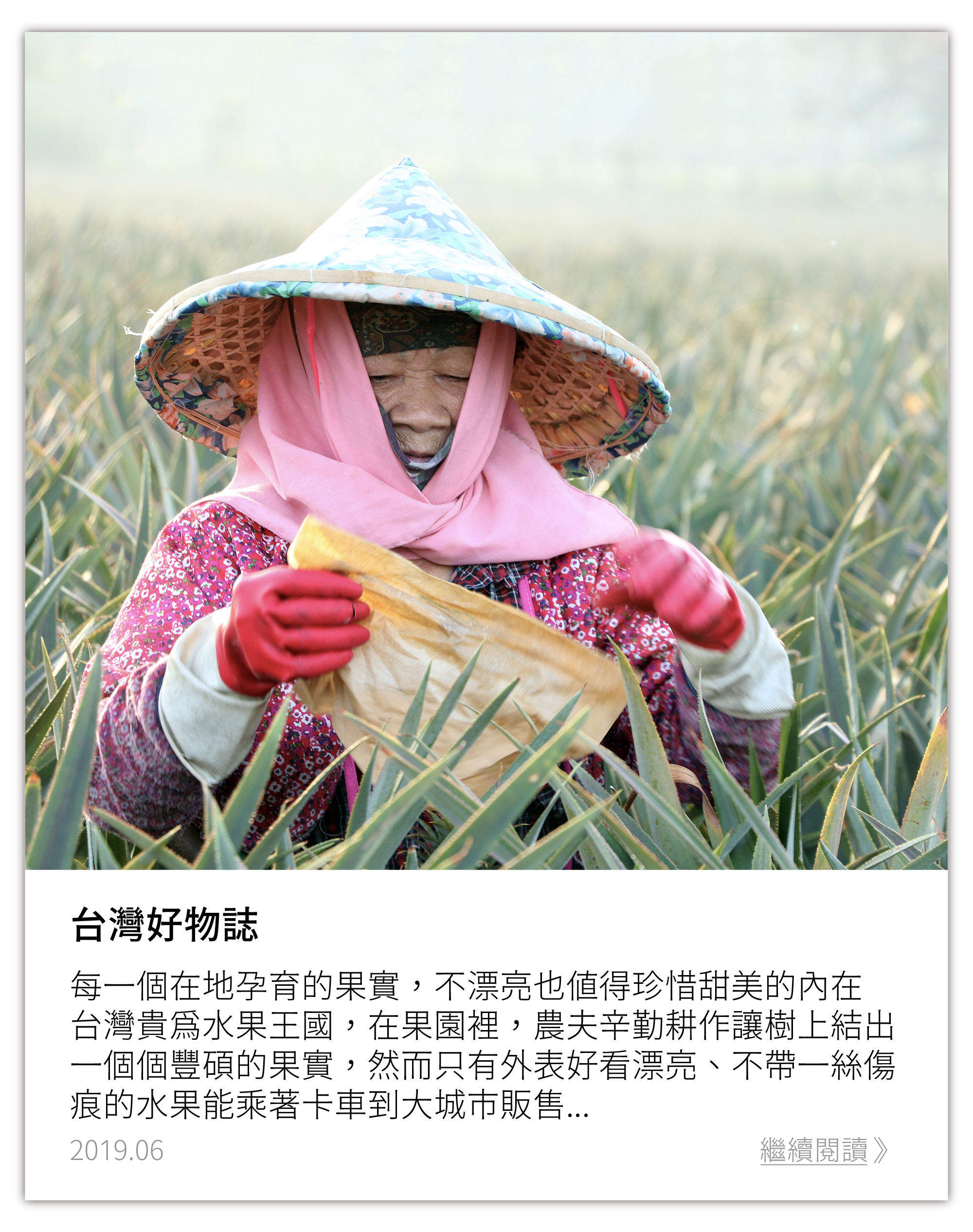 台灣好物誌：每一個在地孕育的果實，不漂亮也值得珍惜甜美的內在