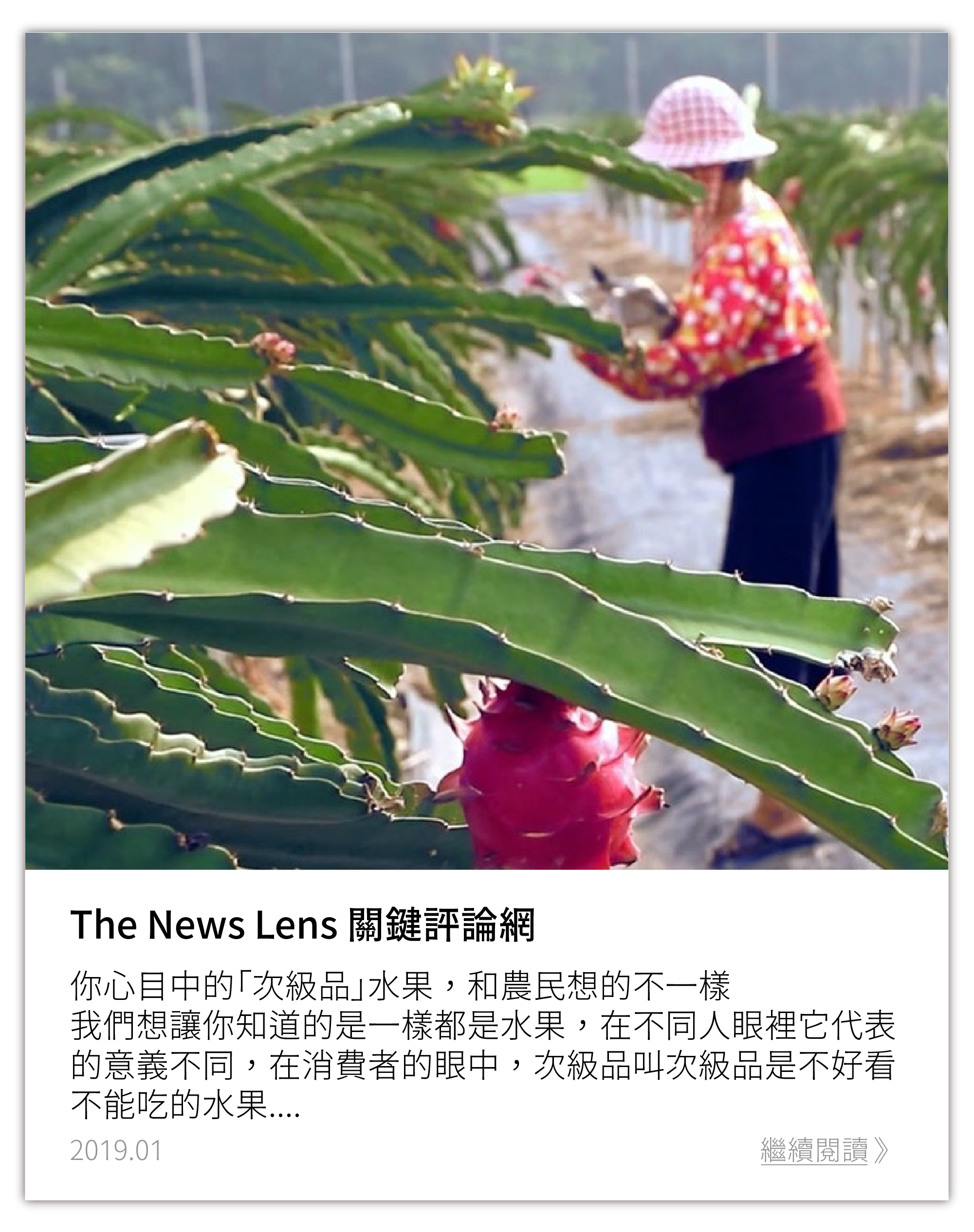 關鍵評論網：你心目中的「次級品」水果，和農民想的不一樣