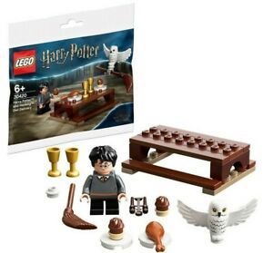 LEGO Harry Potter Polybag 30420 : Harry Potter and Hedwig: Owl Delivery