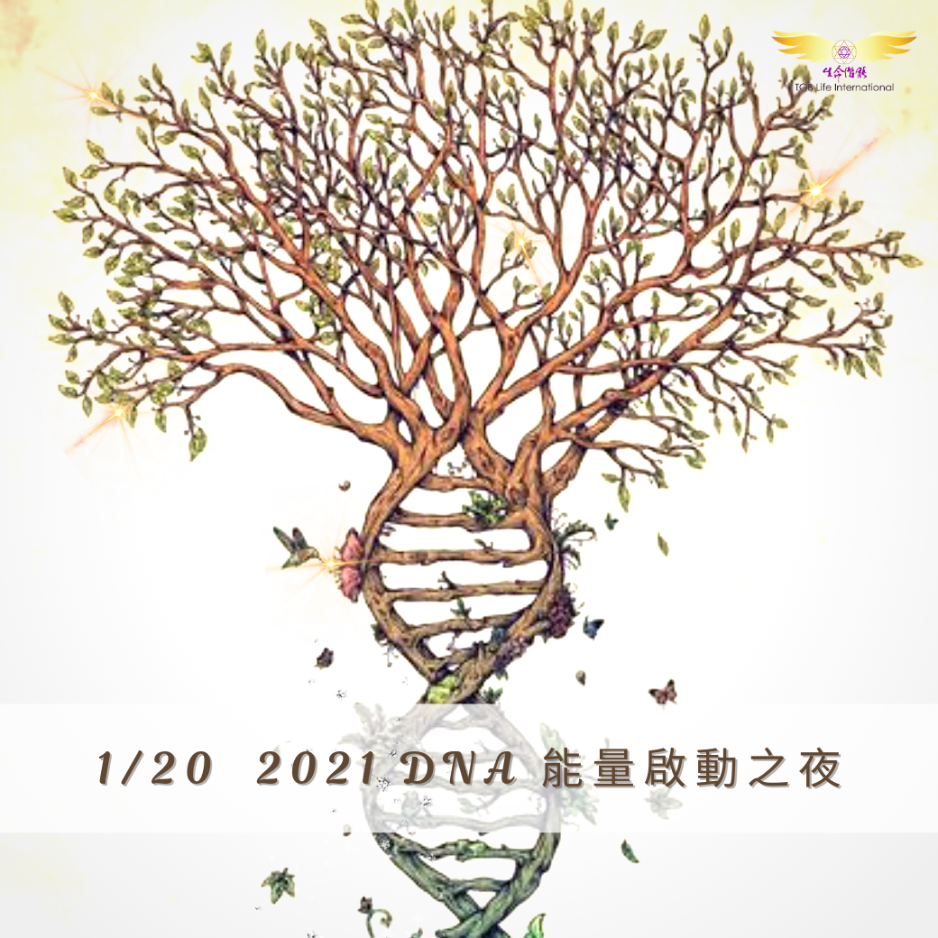 （圓滿完課）【生活靈性】DNA能量啟動之夜