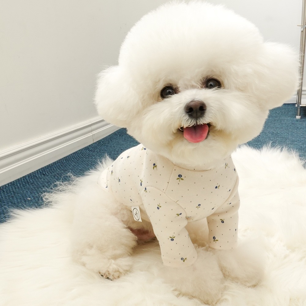 Noutti 小牡丹高領衫 (米白)