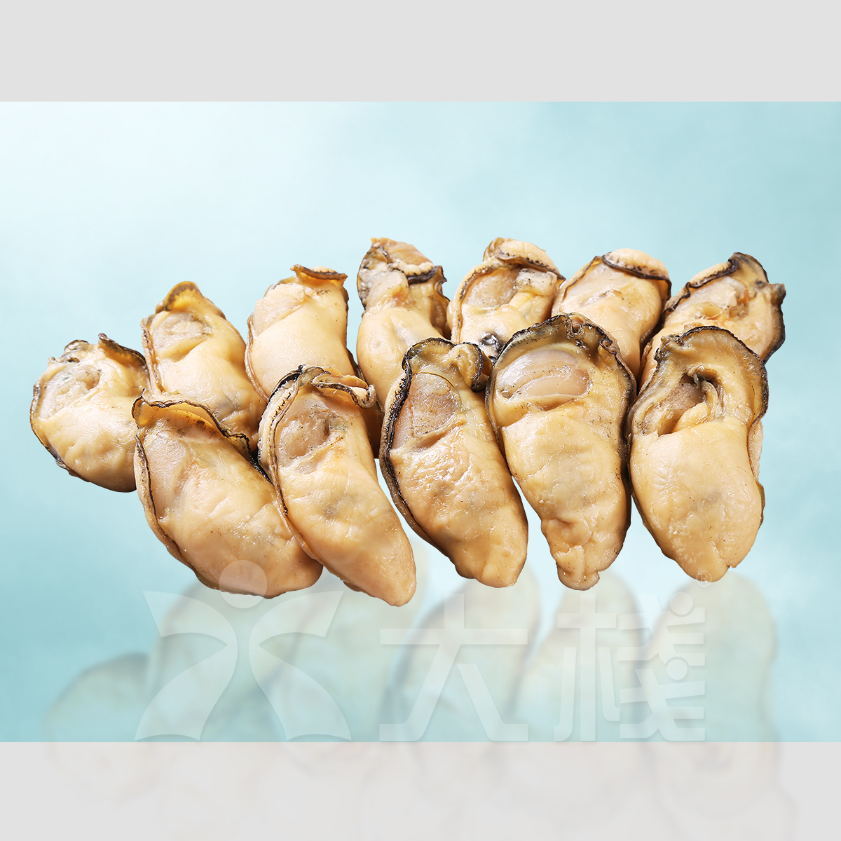 珍寶 生曬金蠔 (1磅裝)