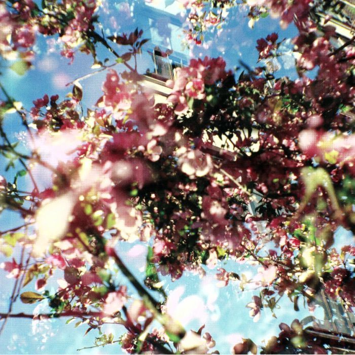 Nahash《Flowers of the Revolution》（2LP）