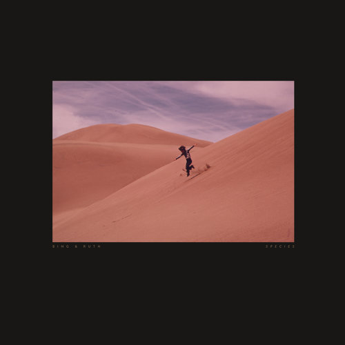 Bing & Ruth《Species》 (2LP)