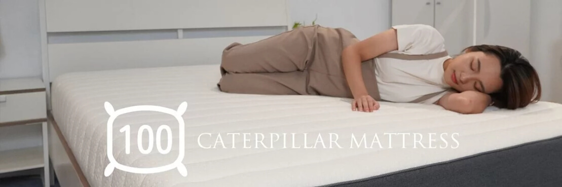 毛毛蟲床墊提供100晚試睡