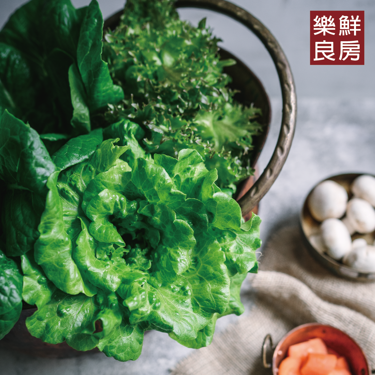 樂鮮良房無毒水耕蔬菜