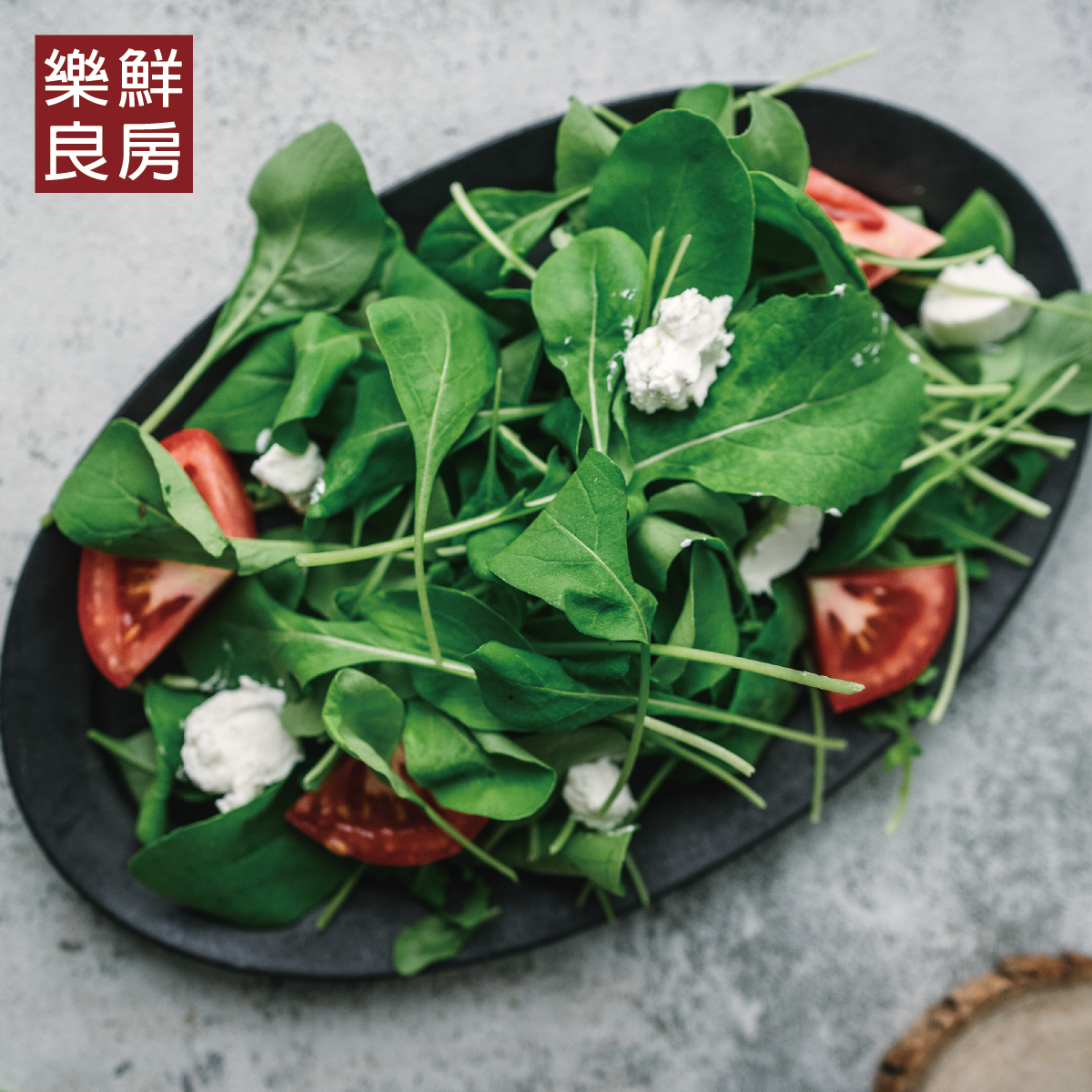 圓葉芝麻葉-樂鮮良房無毒水耕蔬菜