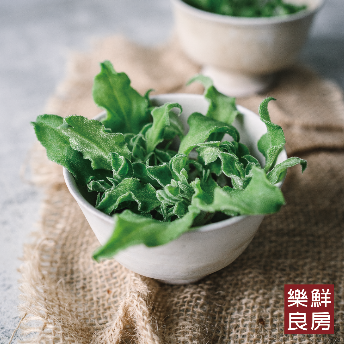 冰花-樂鮮良房無毒水耕蔬菜