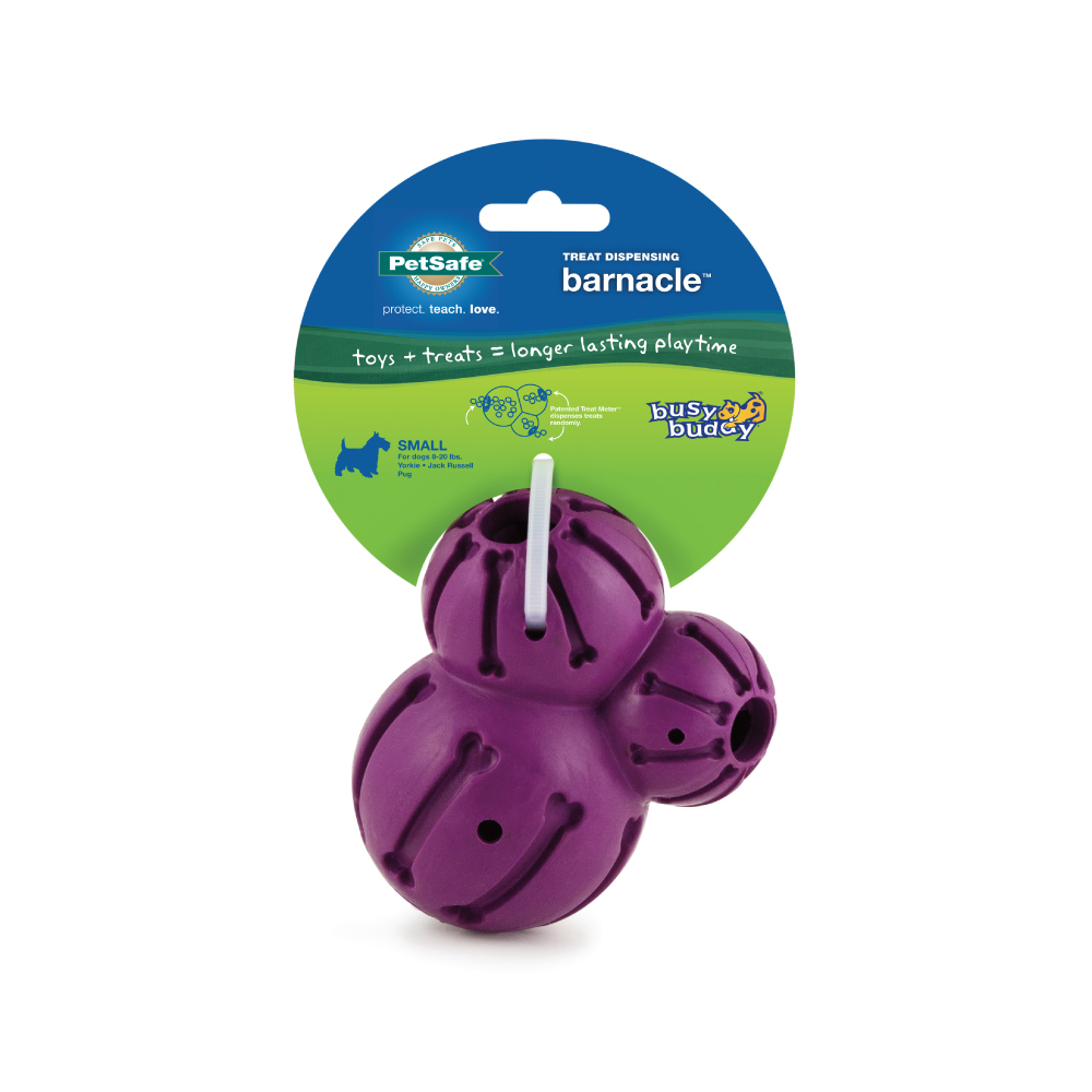 狗仔藤壺｜PetSafe