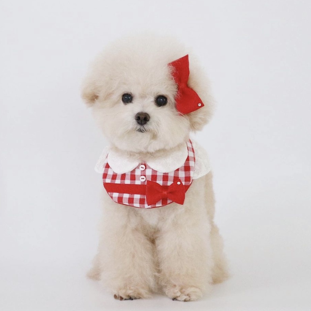 bowbow手作寵物領巾-紅格紋蕾絲-小鳥袖-四季適用