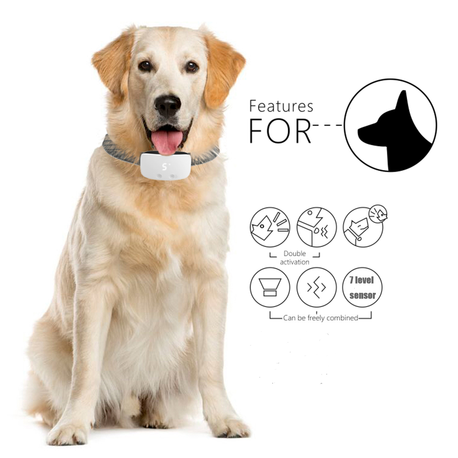 Dog shock clearance collar with sensor