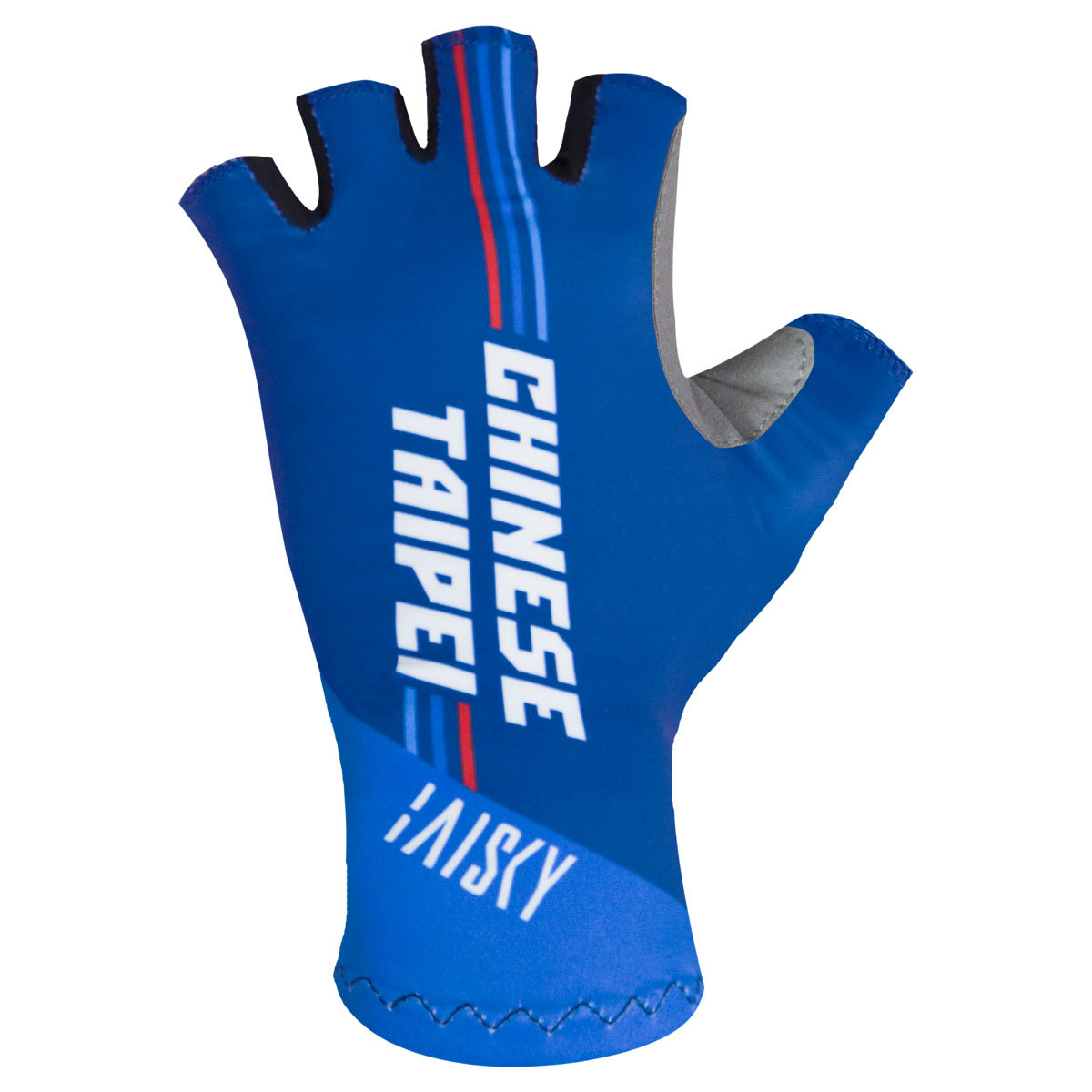 TT手套 2020 中華隊 CHINESE TAIPEI 藍