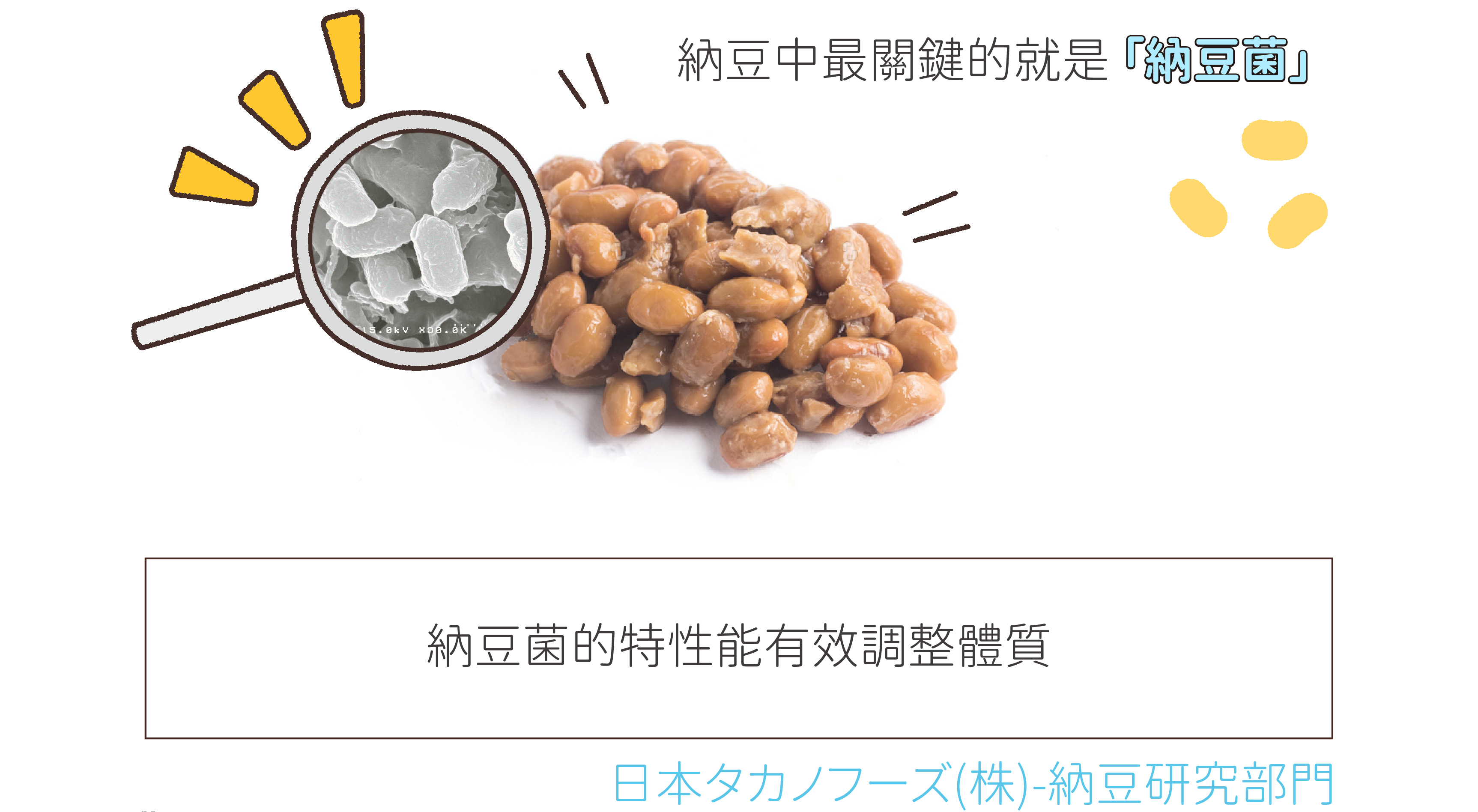 納豆菌能調整體質