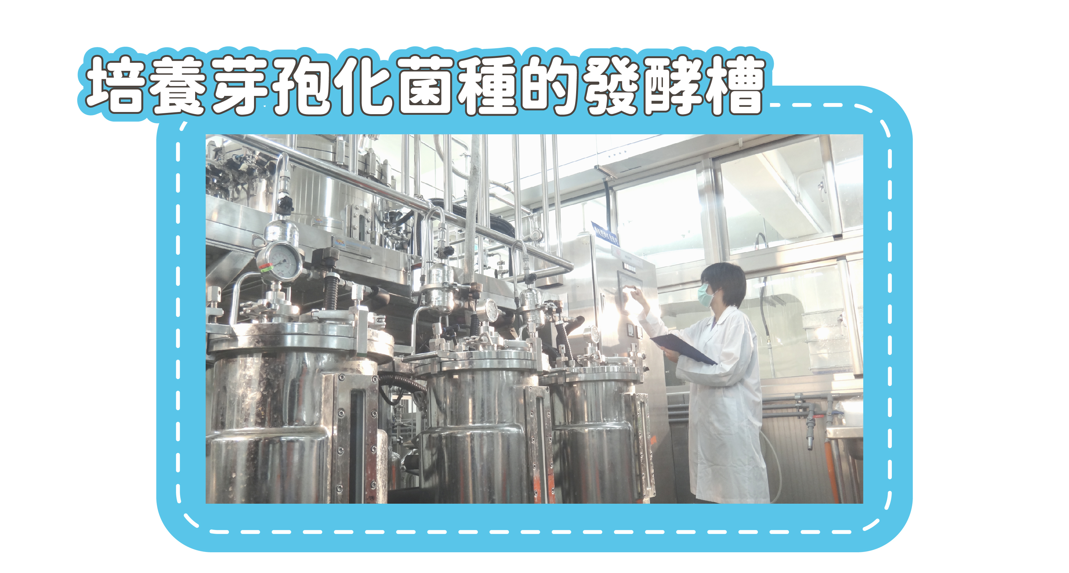 培養芽孢菌(納豆菌)的發酵槽