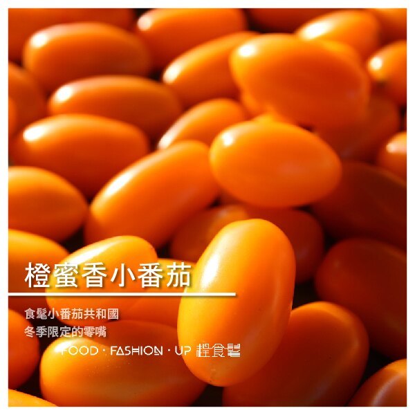 美濃珍品-食髦小番茄 (冬季限定的天然綜合維他命) | 一起來讓醫生的臉變綠吧~