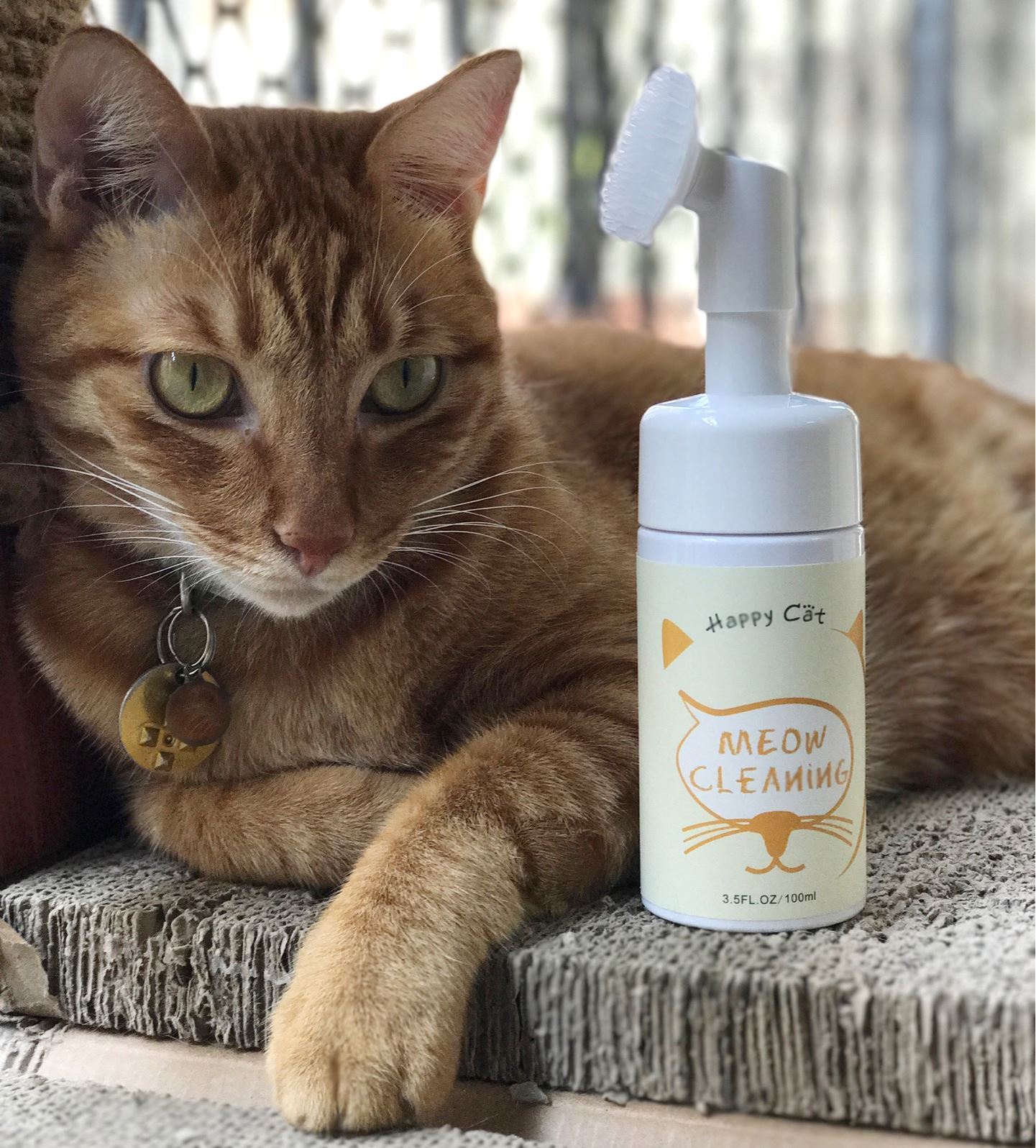 【現貨8折】Happy Cat 貓咪泡沫FUN鬆洗 (清潔下巴粉刺/腳仔/屁屁)